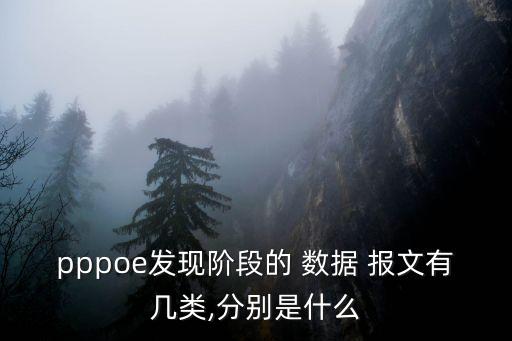 pppoe發(fā)現(xiàn)階段的 數(shù)據(jù) 報(bào)文有幾類,分別是什么