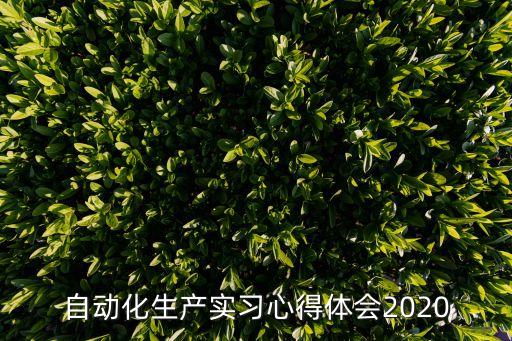 自動化生產(chǎn)實(shí)習(xí)心得體會2020