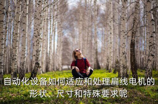 自動(dòng)化設(shè)備如何適應(yīng)和處理扁線電機(jī)的形狀、尺寸和特殊要求呢