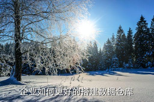 網(wǎng)絡(luò)數(shù)據(jù)倉(cāng)庫(kù),數(shù)據(jù)倉(cāng)庫(kù)建立步驟:收集和分析業(yè)務(wù)需求