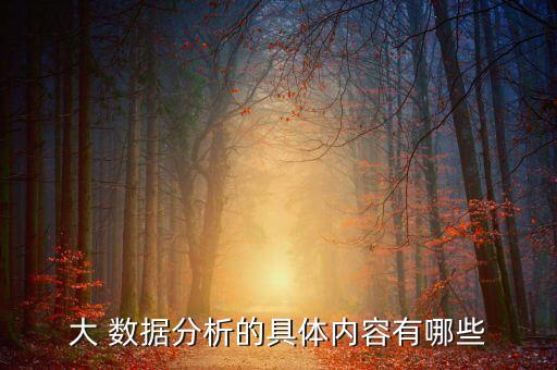 學(xué)生大數(shù)據(jù)分析,學(xué)生數(shù)據(jù)分析能力的評價體系