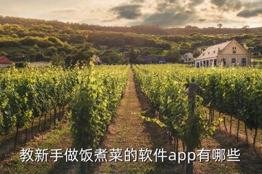 教新手做飯煮菜的軟件app有哪些