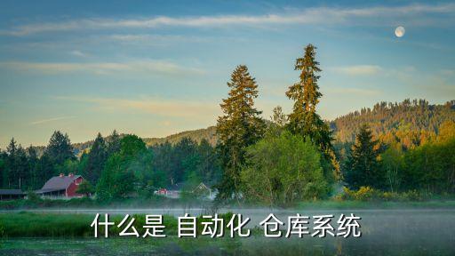什么是 自動化 倉庫系統(tǒng)