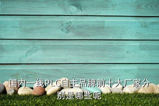 國內(nèi)一線PLC自主品牌前十大廠家分別是哪些呢