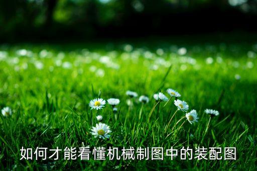 如何才能看懂機械制圖中的裝配圖
