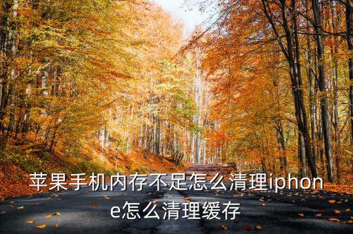 清理蘋(píng)果5S手機(jī)數(shù)據(jù),手機(jī)內(nèi)存不足怎么清理?