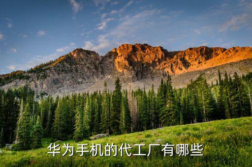 華為有個(gè)自動(dòng)化設(shè)備部嗎,華為手機(jī)自動(dòng)化處理功能在哪?