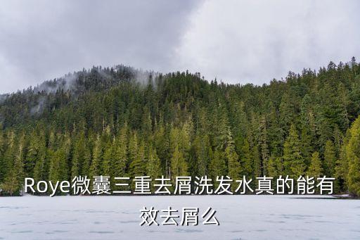 Roye微囊三重去屑洗發(fā)水真的能有效去屑么