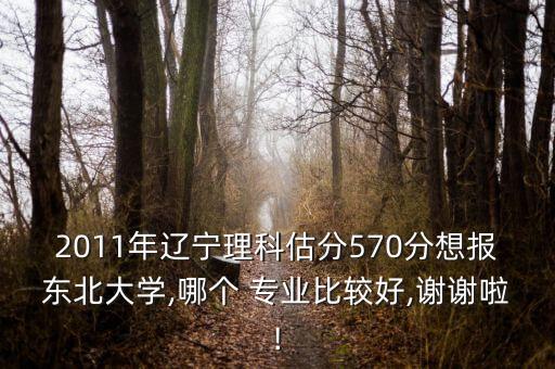 2011年遼寧理科估分570分想報(bào)東北大學(xué),哪個(gè) 專業(yè)比較好,謝謝啦!