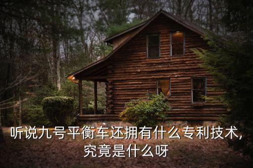 聽說九號平衡車還擁有什么專利技術(shù),究竟是什么呀