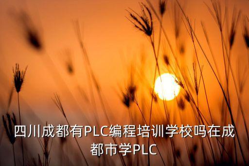 成都電氣自動(dòng)化培訓(xùn)找哪家,成都哪些電氣自動(dòng)化培訓(xùn)機(jī)構(gòu)好?