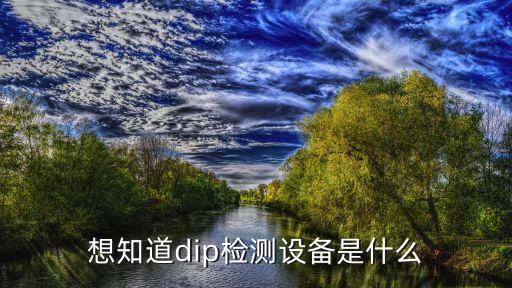想知道dip檢測設(shè)備是什么