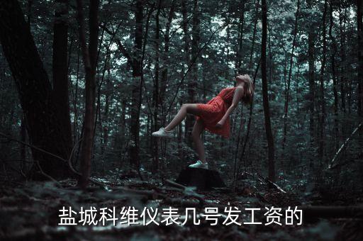 周口淮陽自動化儀器公司