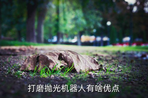 打磨拋光機(jī)器人有啥優(yōu)點(diǎn)