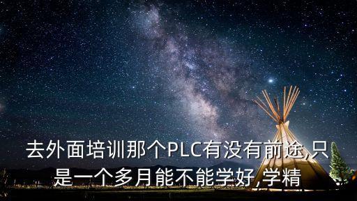 去外面培訓那個PLC有沒有前途,只是一個多月能不能學好,學精