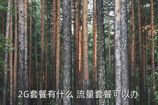 2G套餐有什么 流量套餐可以辦