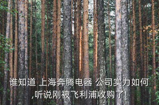 上海奔江自動化公司怎么樣