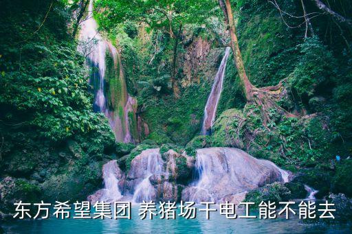 東方希望集團(tuán) 養(yǎng)豬場干電工能不能去
