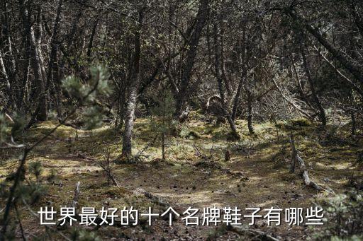 阿迪達(dá)斯機器人鞋子,阿迪達(dá)斯鞋子怎么辨別真假?