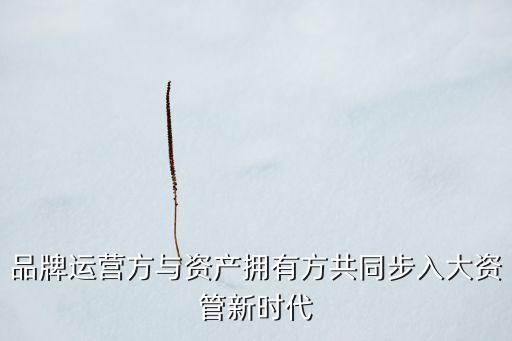 大數(shù)據(jù)品牌運營數(shù)據(jù)決策,什么是大數(shù)據(jù)運營?