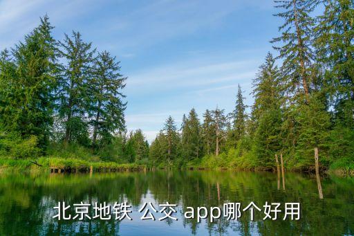 公交app,青城公交app