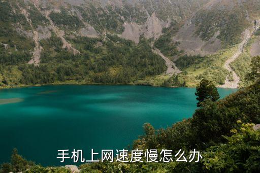 手機上網(wǎng)速度慢怎么辦