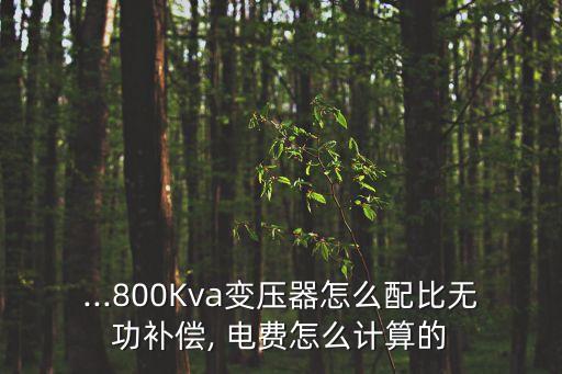 功率因數(shù)調(diào)整電費(fèi)辦法