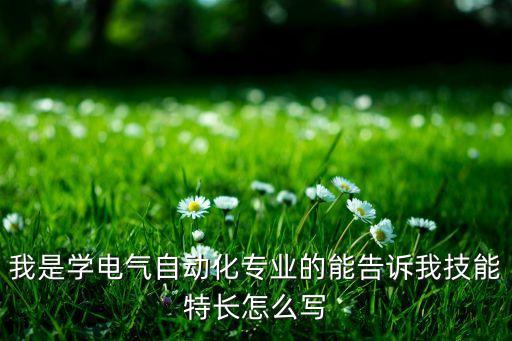 我是學(xué)電氣自動(dòng)化專業(yè)的能告訴我技能特長(zhǎng)怎么寫(xiě)