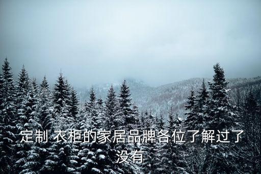  定制 衣柜的家居品牌各位了解過了沒有