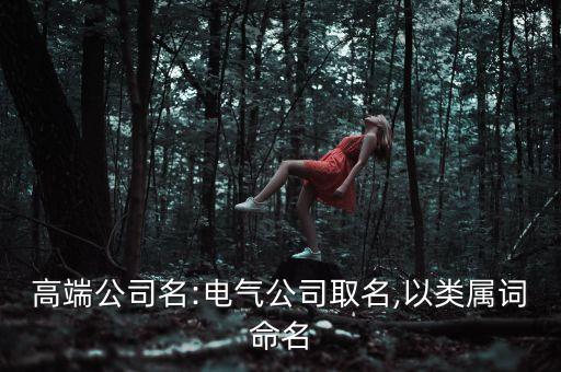 高端公司名:電氣公司取名,以類屬詞命名