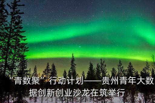 “青數(shù)聚”行動(dòng)計(jì)劃——貴州青年大數(shù)據(jù)創(chuàng)新創(chuàng)業(yè)沙龍?jiān)谥e行