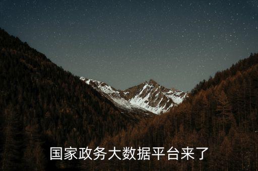 國(guó)家政務(wù)大數(shù)據(jù)平臺(tái)來(lái)了