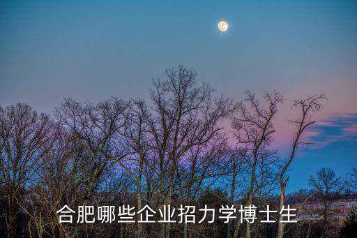 合肥哪些企業(yè)招力學(xué)博士生