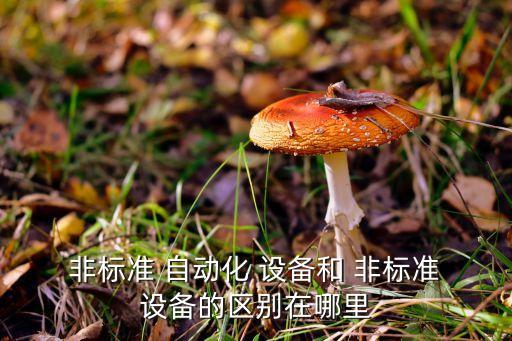 非標(biāo)自動(dòng)化設(shè)備是什么意思呀視頻,3c單機(jī)非標(biāo)自動(dòng)化設(shè)備是什么