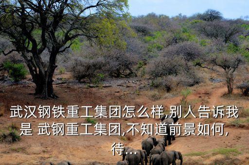 武漢鋼鐵重工集團(tuán)怎么樣,別人告訴我是 武鋼重工集團(tuán),不知道前景如何,待...