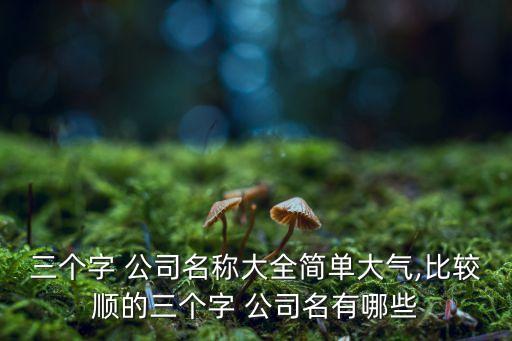 三個字 公司名稱大全簡單大氣,比較順的三個字 公司名有哪些