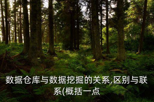 數(shù)據(jù)倉庫與數(shù)據(jù)挖掘的關(guān)系,區(qū)別與聯(lián)系(概括一點(diǎn)