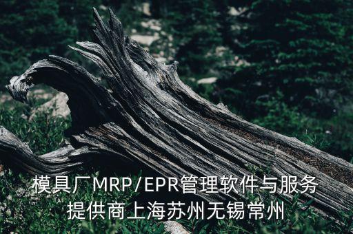 模具廠MRP/EPR管理軟件與服務(wù)提供商上海蘇州無錫常州