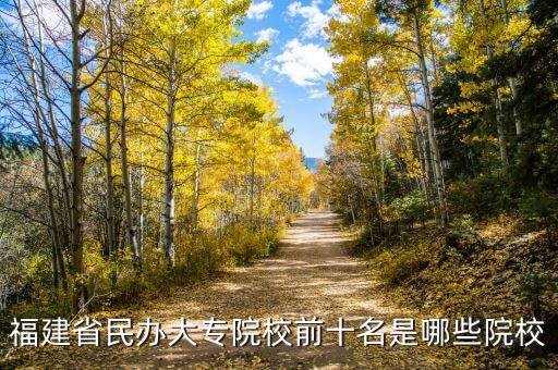 福建省民辦大專院校前十名是哪些院校