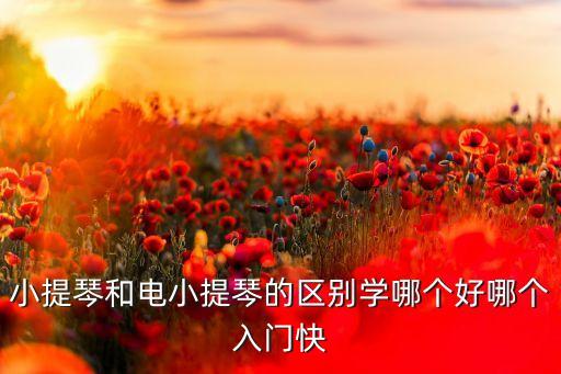 小提琴和電小提琴的區(qū)別學(xué)哪個好哪個入門快