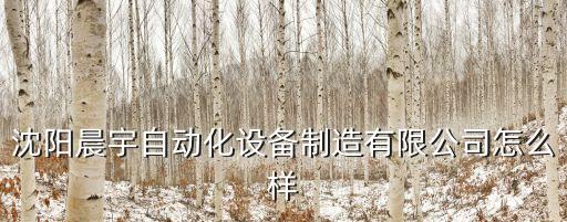 自動化公司沈陽,沈陽晨宇自動化設(shè)備制造有限公司招聘信息