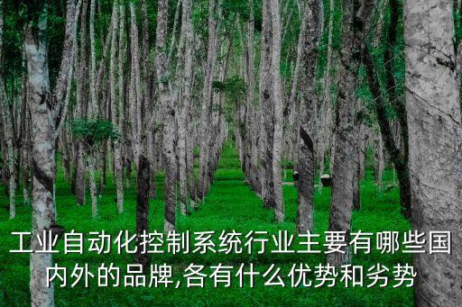 工業(yè)自動化控制系統(tǒng)行業(yè)主要有哪些國內(nèi)外的品牌,各有什么優(yōu)勢和劣勢