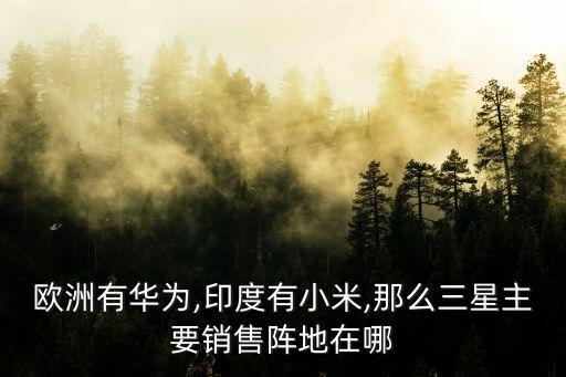 歐洲有華為,印度有小米,那么三星主要銷售陣地在哪