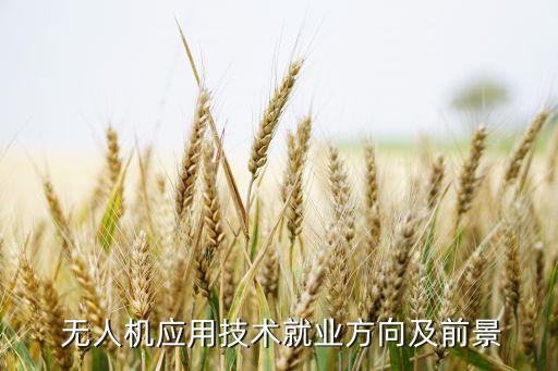  無人機(jī)應(yīng)用技術(shù)就業(yè)方向及前景