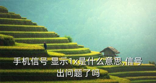 手機(jī)信號(hào) 顯示1x是什么意思,信號(hào)出問(wèn)題了嗎