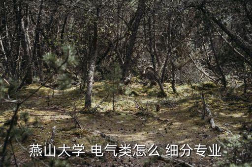 燕山大學 電氣類怎么 細分專業(yè)