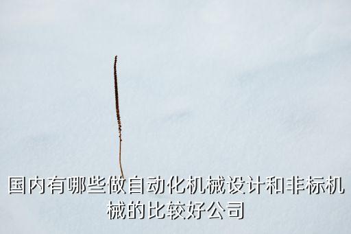 國內(nèi)有哪些做自動化機(jī)械設(shè)計(jì)和非標(biāo)機(jī)械的比較好公司