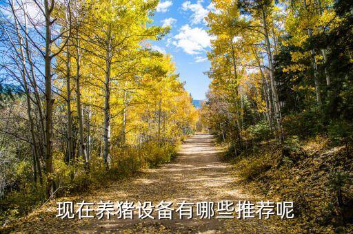 現(xiàn)在養(yǎng)豬設(shè)備有哪些推薦呢