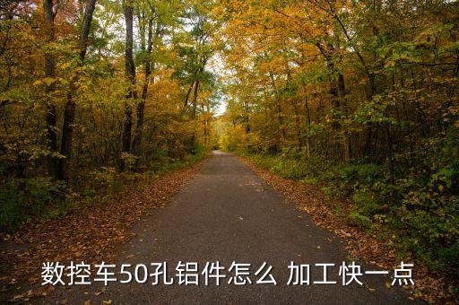 數(shù)控車50孔鋁件怎么 加工快一點(diǎn)