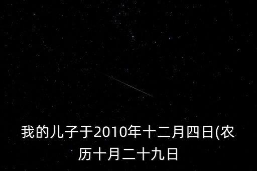 我的兒子于2010年十二月四日(農(nóng)歷十月二十九日